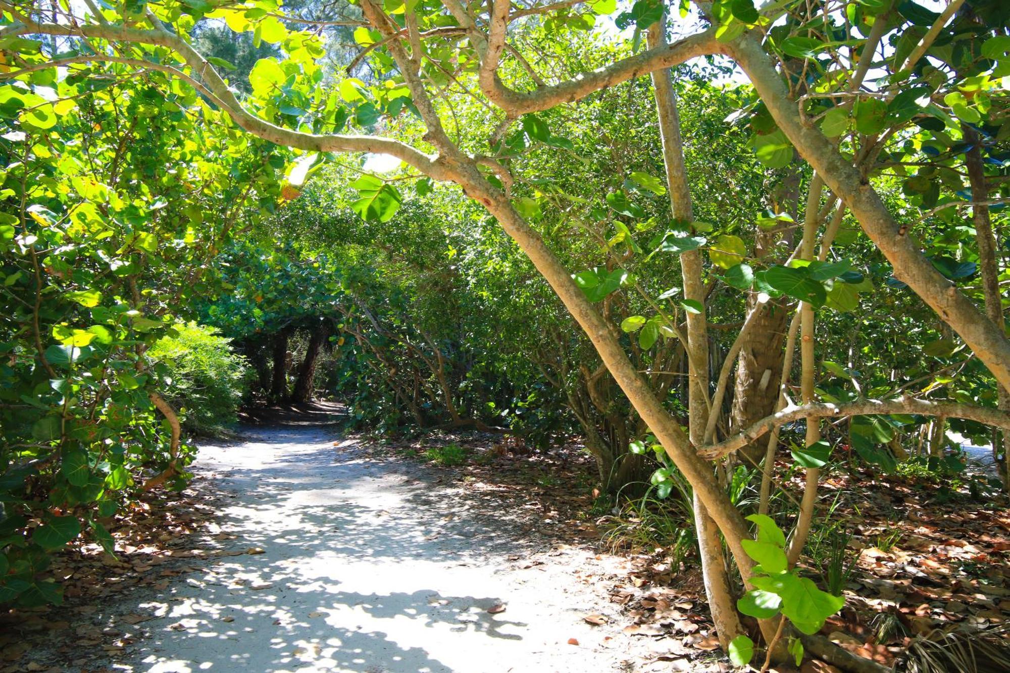 Anna Maria Island Runaway Tropical Dream-One Minute Walk To The Beach-Heated Pool Bradenton Beach Exteriér fotografie